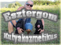 esztergom kutyakozmetikus